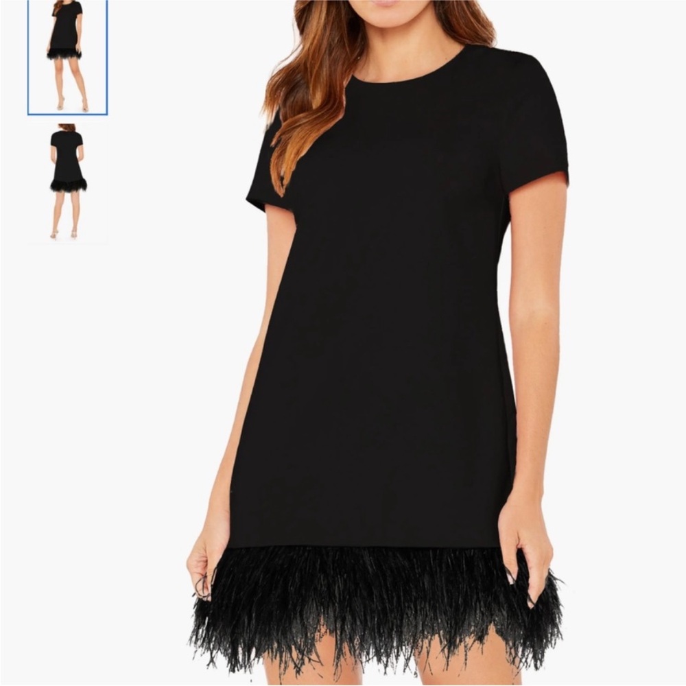 Marullo Feather Trim Dress